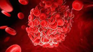 It was first identified in december 2019 in wuhan,. Covid Vaccines And Rare Clots What You Need To Know Bbc News