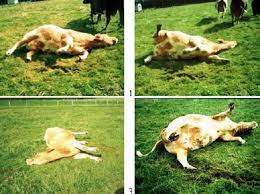 Image result for Tetany