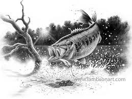 Tpwd coloring pages and downloadable activity books. Largemouth Bass Drawing In Color Novocom Top