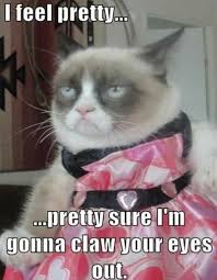 #grumpycat #meme grumpy cat stuff, gifts, coupons, meme on www.pinterest.com/erikakaisersot. 129 Hilarious Grumpy Cat Memes Yellow Blogtopus