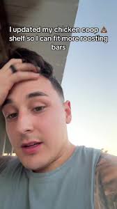 Renovando la estantería de pollos para mejorar el espacio