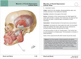 Thieme atlas of anatomy neck and internal organs 1st. Netter S Anatomy Flash Cards 4th Edition Pdf Free Download Direct Link