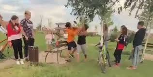 Copil Batut De Parintii Unei Fetite Intr Un Parc Din Timis Din Cauza