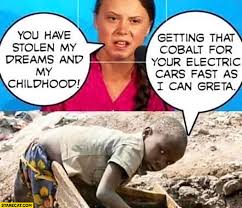Face aux menaces sanitaires et climatiques, greta thunberg a lancé un appel pour changer habitudes. You Have Stolen My Dreams And My Childhood Getting That Cobalt For Your Electric Cars Fast As I Can Greta Thunberg Starecat Com