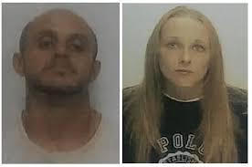 Tom Sofield, Author at LevittownNow.com