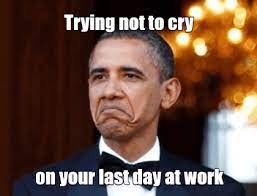 Check spelling or type a new query. Last Day Of Work Memes Share These Before You Say Leave The Office Or Logoff For The Final Time In 2021 Last Day At Work Co Worker Memes Work Memes