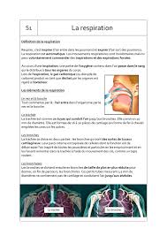 Sachez toutes fois qu'il est également possible de réaliser une incision à la base du nez pour les déviations plus complexes comme tu passes globalement une semaine sans pouvoir respirer avec le nez, il faut mettre au point. S1 La Respiration