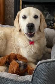 MT Scarlett's 1st day