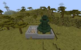 How To Grow Jungle Trees In Minecraft