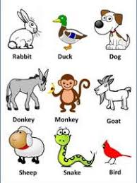 Di bawah merupakan contoh haiwan membiak secara bertelur. Sains Tahun 2 Haiwan Science Quiz Quizizz