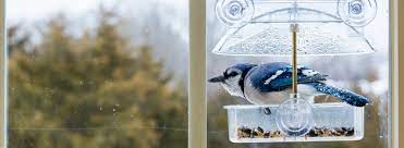 The 4 best window bird feeders. Homes Safe For Birds Birdsafe