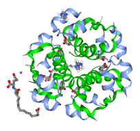 PDB-101: Diabetes Mellitus: Diabetes Mellitus: undefined ...
