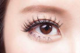 (a) orang yang mempunyai lensa mata normal, tidak mengalami gangguan, dapat melihat benda. Mengenal Anatomi Mata Manusia Dan Cara Kerjanya Hello Sehat