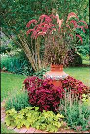 Share your gardening knowledge & experience ». Fountain Grass Pennisetum Southern Living Southern Living
