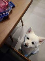 · he is named after rm's old stage name. Nitter