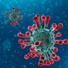 Resultado de imagen de coronavirus