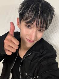 first jun, now woozi??? kcarats and jcarats are sick istg. you guys should  be thankful that svt treats you guys so nice with all those concert and  fansign yet this is how