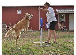 Red Barn Kennels - Services Hours And Other Information Good Resource Dog Kennel Kennel Red Barn