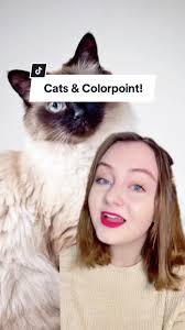 Cats & Colorpoint: Understanding Cat Genetics