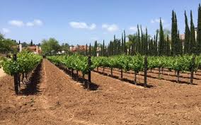 You can walk to almost everything you'd want on a vacation including the beach, restaurants/bars, wineries, boutiques, surfboard rentals, coffee shops, train stop and so much more. Forgotten Barrel Winery California Winery Advisor
