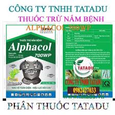 Alphacol 700WP