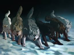 Wolf children is a great. Anime Black Wolf Wallpapers Wallpaper Cave