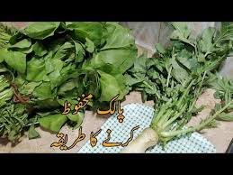 How To Save Spinich Palak Save Karnay Ka Tariqa Palak Ko Save Kaise Kare Youtube In 2020 Kare Save Make It Yourself