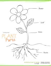Introduction To Herbs For Kids Meet My Friend Herb Part 2 Parts Of A Flower Parts Of A Plant Plants Worksheets