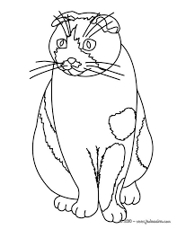 Coloriage D Un Chat Assis Realiste A Imprimer Gratuitement Ou Colorier En Ligne Sur Hellokids Com Coloriage Chat Coloriage Coloriage Animaux