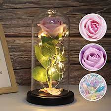 Amazon Com Recutms Beauty And The Beast Rose Colorful Rose And Led Light In A Glass Dome For Mothers Day Valentine S Day Home Decor Holiday Birthday Party Wedding Anniversary Pure Pink Home