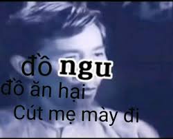 Cút meme: top 70+ meme bựa hài hước bá đạo nhất 2025