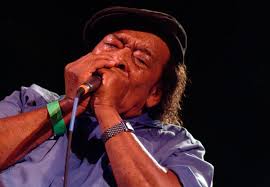 The 27th Annual Chicago Blues Festival