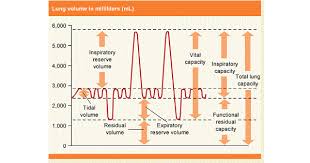 Image result for Vital Capacity