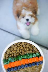 Certain types of diets are better for different ages. Homemade Vegan Dog Food Recipe From Eatmoverest V Dog