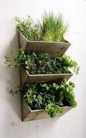 21 Decorative Indoor Herb Garden Ideas While Remodelling Your Kitchen Http Centophobe Com 2 Kitchen Gardening Indoor Vertical Garden Diy Indoor Herb Garden