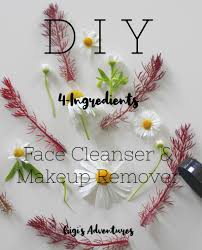 face cleanser makeup remover