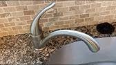 costco wr water ridge pull out faucet