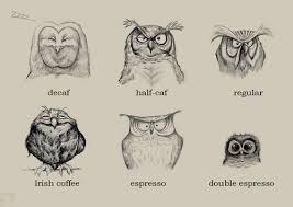 Coffee Owls Hahahahaha Im The Double Espresso Owl Art
