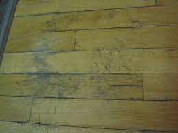 How long does it take for black mold to form on wood. 7 Ways To Remove Black Mold On Wood The Basic Woodworking