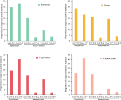 Mutations worksheet answer key nice plastic surgery. Evolutionary Directions Of Single Nucleotide Substitutions And Structural Mutations In The Chloroplast Genomes Of The Family Calycanthaceae Bmc Ecology And Evolution Full Text