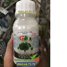Vigibb 1SL