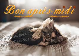 Résultat de recherche d'images pour "bonne aprés midi"