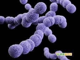 Wèi, shì xuésheng sùshè ma? Http Allaboutscience Chinese Blogspot Com 2016 06 Blog Post 45 Html