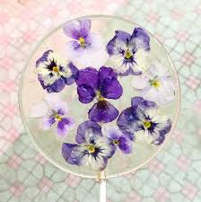 Check spelling or type a new query. Candied And Crystallized Edible Flowers Common Farms