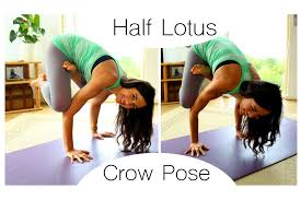 How To Do The Half Lotus Crow With Celest Pereira 42yogis Crow Yoga Yoga Barre Free Yoga
