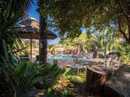 Translations of the word gabú from spanish to english and examples of the use of gabú in a sentence with their translations: Gabus Game Ranch Otavi Lodges Campingplatze Unterkunft In Namibia African Reservations