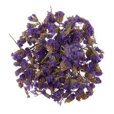 Free shipping on selected items. 5 Pack Natural Dried Flowers Scrapbooking Cards Making Diy Decoration Purple Buy From 6 On Joom E Commerce Platform