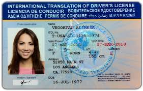 Then, insert your id number and the security code given. International Drivers License