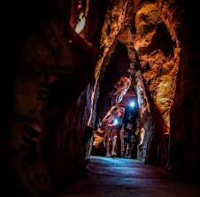 The company blog is very informative and tends to focus on bug and pest problems that are most commonly associated with the climates that are found in the nevada area. Cook Museum Of Natural Science Life Is Amazing