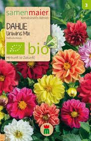 Gerade weil die farben der dahlien so vielfältig sind und auch in der höhe des blütenstandes und der größe der blüten variieren, gibt es sicherlich auch eine dahlie, die. Bio Dahlie Unwins Mix Dahlia Hortensis Angelwurmer Garten Kompostwurmer Futterwurmer Superwurm